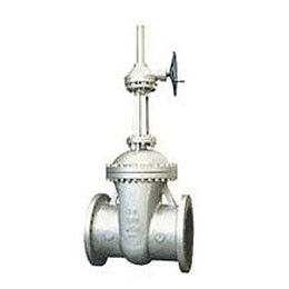 Cast Steel Gate Valve