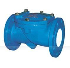 Swing Flex Check Valve